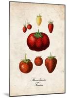 Strawberries-null-Mounted Poster