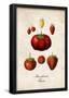 Strawberries-null-Framed Poster