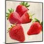 Strawberries-Remo Barbieri-Mounted Art Print