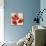 Strawberries-Remo Barbieri-Stretched Canvas displayed on a wall