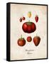 Strawberries-null-Framed Stretched Canvas