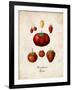 Strawberries-null-Framed Art Print