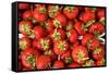 Strawberries-Stefano Amantini-Framed Stretched Canvas