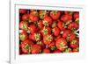 Strawberries-Stefano Amantini-Framed Photographic Print
