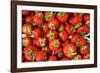 Strawberries-Stefano Amantini-Framed Photographic Print