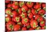 Strawberries-Stefano Amantini-Mounted Photographic Print