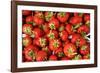 Strawberries-Stefano Amantini-Framed Photographic Print