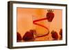 Strawberries-Gordon Semmens-Framed Photographic Print