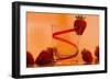 Strawberries-Gordon Semmens-Framed Photographic Print