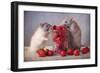 Strawberries-Ellen Van Deelen-Framed Photographic Print