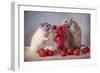 Strawberries-Ellen Van Deelen-Framed Photographic Print