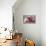 Strawberries-Ellen Van Deelen-Stretched Canvas displayed on a wall