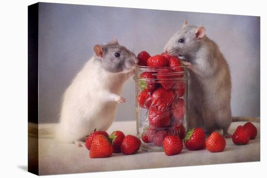 Strawberries-Ellen Van Deelen-Stretched Canvas