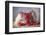 Strawberries-Ellen Van Deelen-Framed Photographic Print