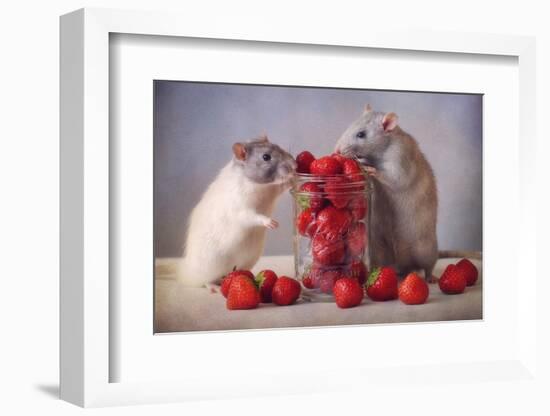 Strawberries-Ellen Van Deelen-Framed Photographic Print