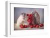 Strawberries-Ellen Van Deelen-Framed Photographic Print