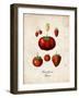 Strawberries-null-Framed Art Print