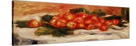 Strawberries-Pierre-Auguste Renoir-Stretched Canvas