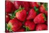 Strawberrries-monysasi-Stretched Canvas