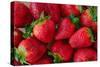 Strawberrries-monysasi-Stretched Canvas