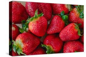 Strawberrries-monysasi-Stretched Canvas