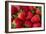 Strawberrries-monysasi-Framed Photographic Print