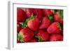 Strawberrries-monysasi-Framed Photographic Print