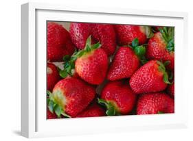 Strawberrries-monysasi-Framed Photographic Print