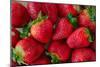 Strawberrries-monysasi-Mounted Photographic Print