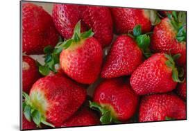 Strawberrries-monysasi-Mounted Photographic Print