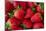 Strawberrries-monysasi-Mounted Photographic Print