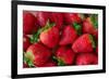 Strawberrries-monysasi-Framed Photographic Print