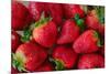 Strawberrries-monysasi-Mounted Photographic Print