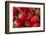 Strawberrries-monysasi-Framed Photographic Print