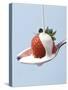 Strawberry and Cream-Steve Lupton-Stretched Canvas