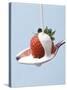 Strawberry and Cream-Steve Lupton-Stretched Canvas