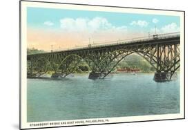 Strawberry Bridge and Boathouse, Philadelphia-null-Mounted Art Print
