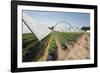 Strawberry Farm in England-Andrew Fox-Framed Photographic Print