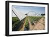 Strawberry Farm in England-Andrew Fox-Framed Photographic Print