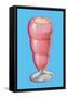 Strawberry Float-null-Framed Stretched Canvas