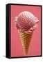Strawberry Ice Cream Cone-Marc O^ Finley-Framed Stretched Canvas