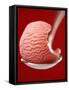 Strawberry Ice Cream on a Spoon-Marc O^ Finley-Framed Stretched Canvas