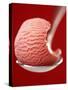 Strawberry Ice Cream on a Spoon-Marc O^ Finley-Stretched Canvas