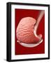 Strawberry Ice Cream on a Spoon-Marc O^ Finley-Framed Photographic Print