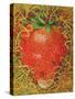 Strawberry in Straw, 1998-E.B. Watts-Stretched Canvas