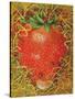 Strawberry in Straw, 1998-E.B. Watts-Stretched Canvas
