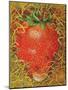 Strawberry in Straw, 1998-E.B. Watts-Mounted Giclee Print