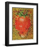 Strawberry in Straw, 1998-E.B. Watts-Framed Premium Giclee Print