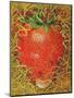 Strawberry in Straw, 1998-E.B. Watts-Mounted Premium Giclee Print