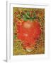 Strawberry in Straw, 1998-E.B. Watts-Framed Giclee Print